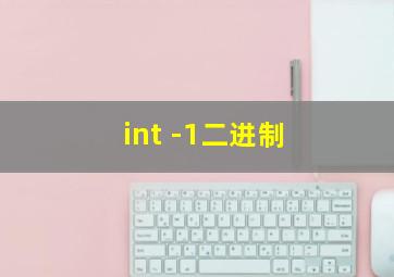 int -1二进制